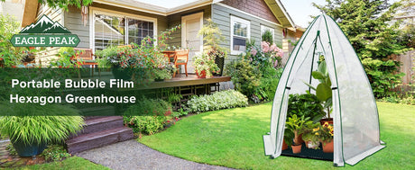 Advantages of PE Bubble Film for Greenhouses - Eagle Peak Custom Canopy Tent