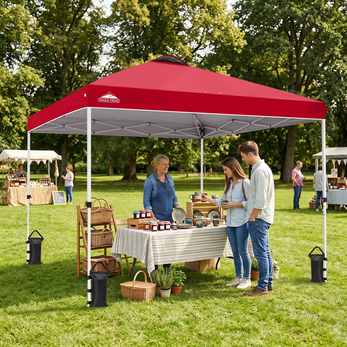 10x10 Pop Up Canopy Tent — Easy Setup with PeakPush™ Center Lock - Eagle Peak®