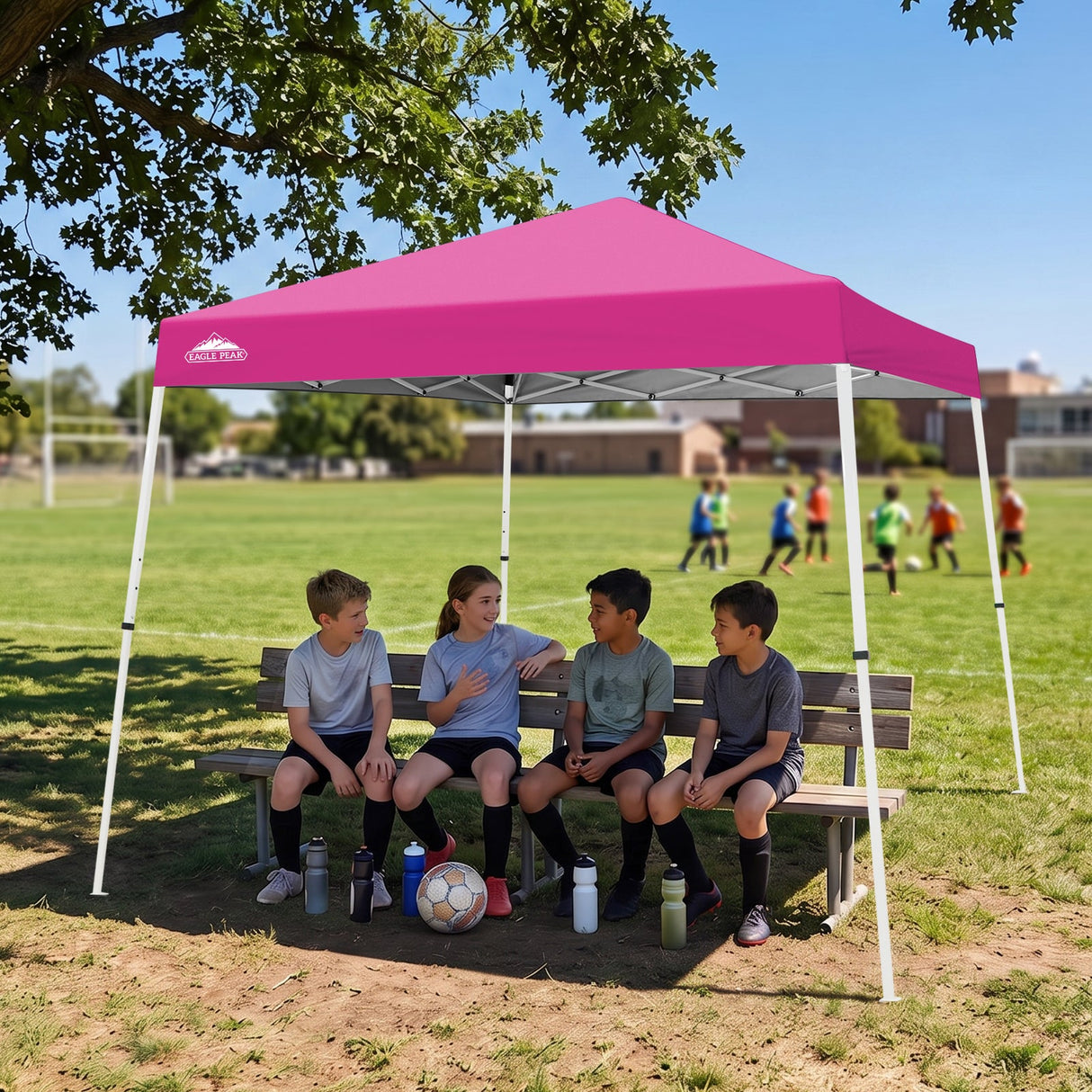 10x10 Slant Leg Pop Up Canopy Tent - Eagle Peak®