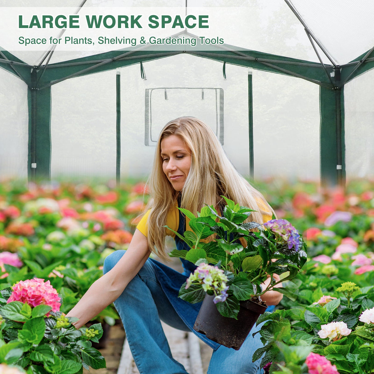 12x8 Portable Walk in Greenhouse with Polyester Reinforced Corners - Eagle Peak Custom Canopy Tent