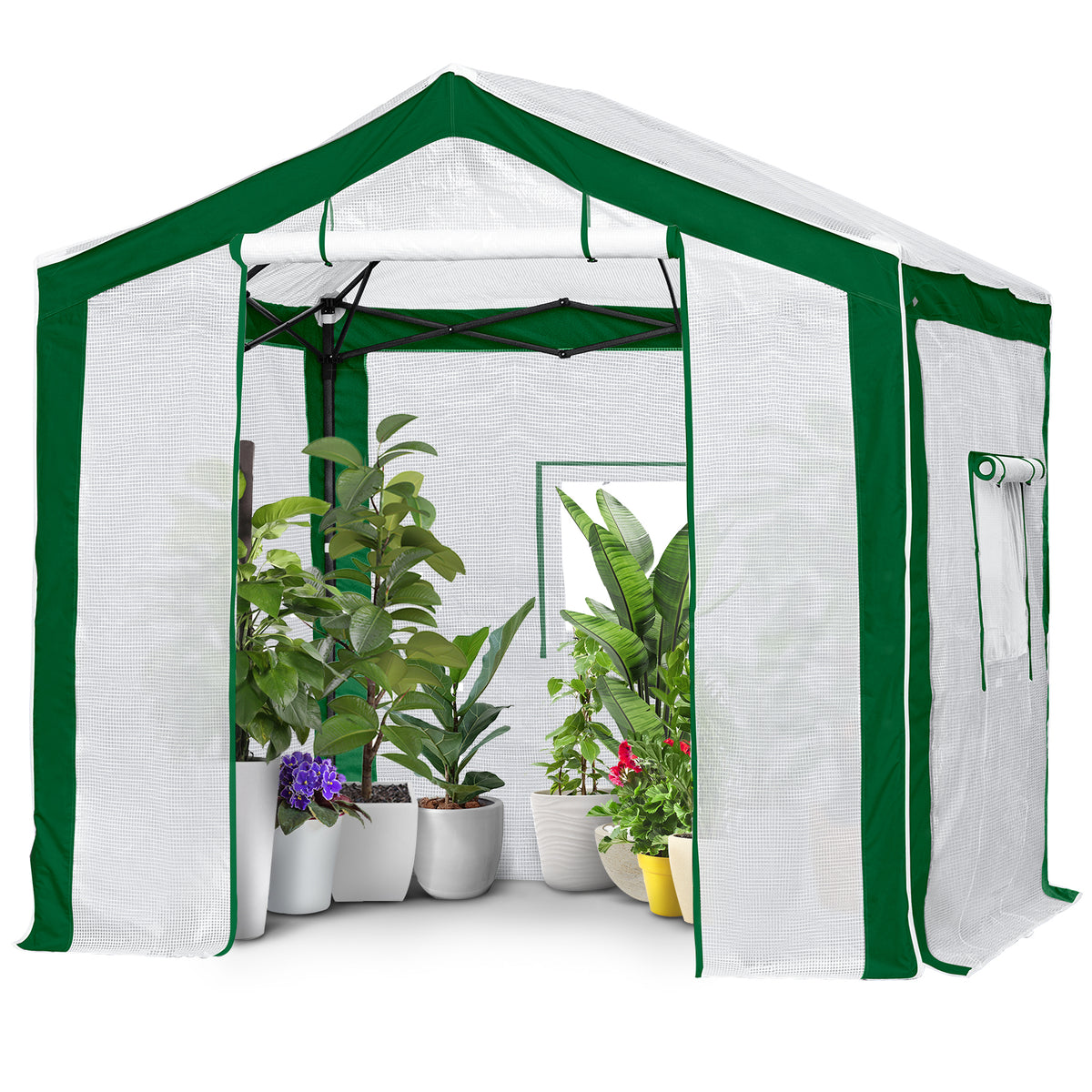 8x8 Walk In Pop Up Greenhouse