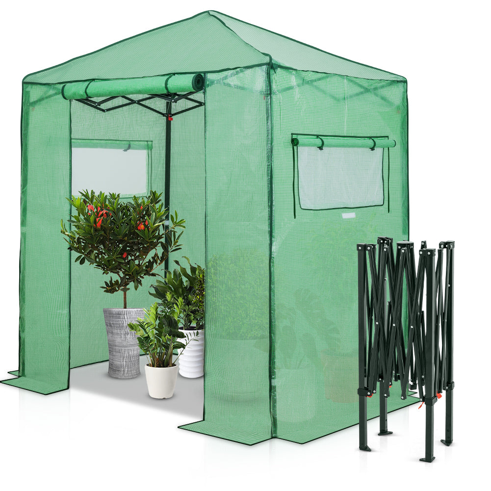 Easy Fast Setup Instant 6x4 Walk-in Indoor/Outdoor Greenhouse