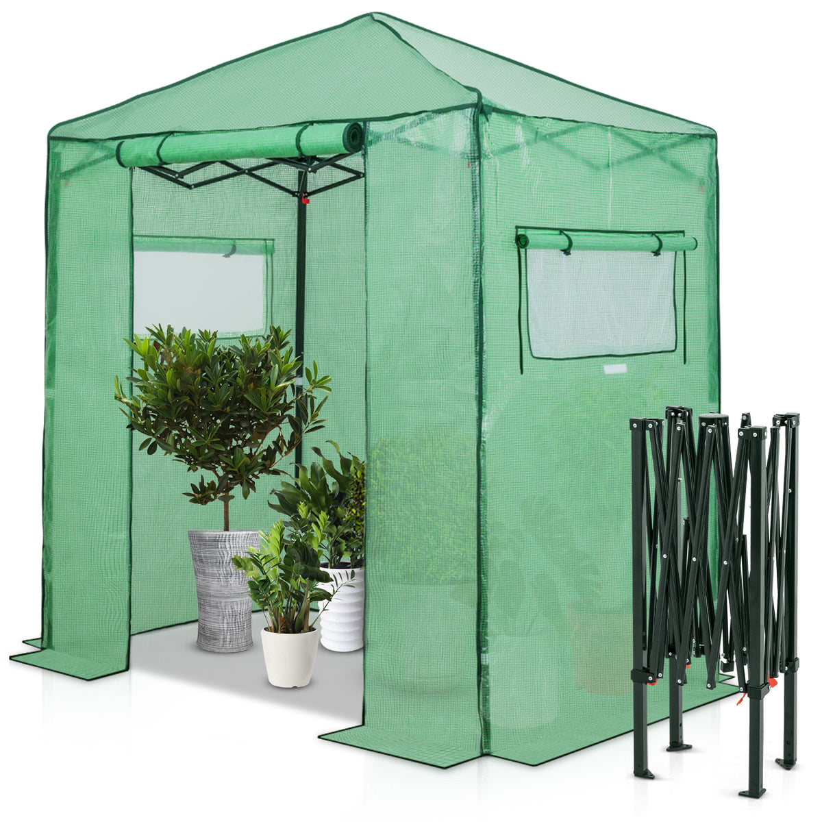 6x4 Easy Setup Small Pop Up Greenhouse