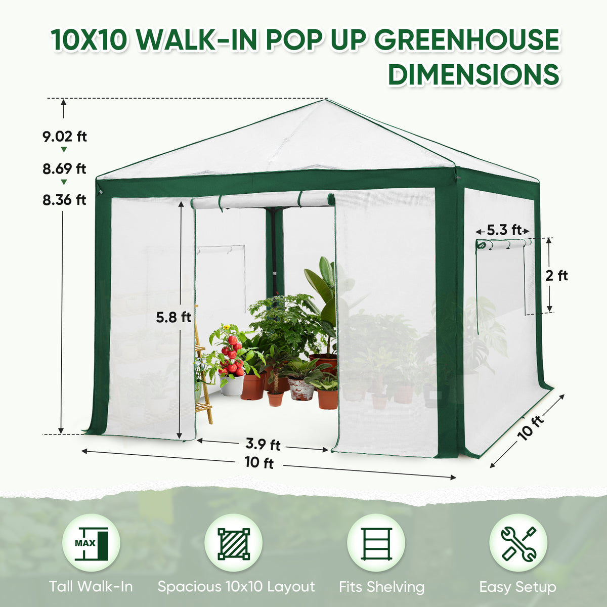 6x4/8x6/10x10 Walk In Pop Up Greenhouse, Reinforced Corners