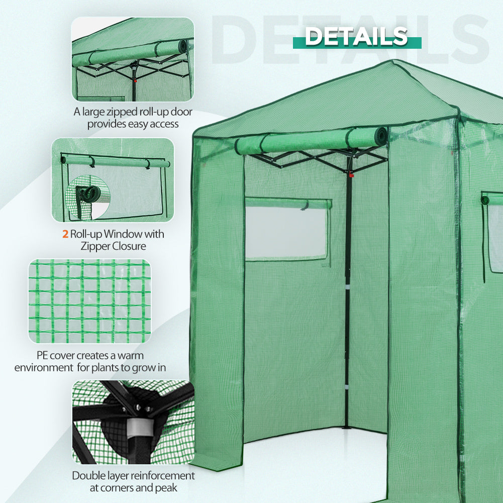 Easy Fast Setup Instant 6x4 Walk-in Indoor/Outdoor Greenhouse