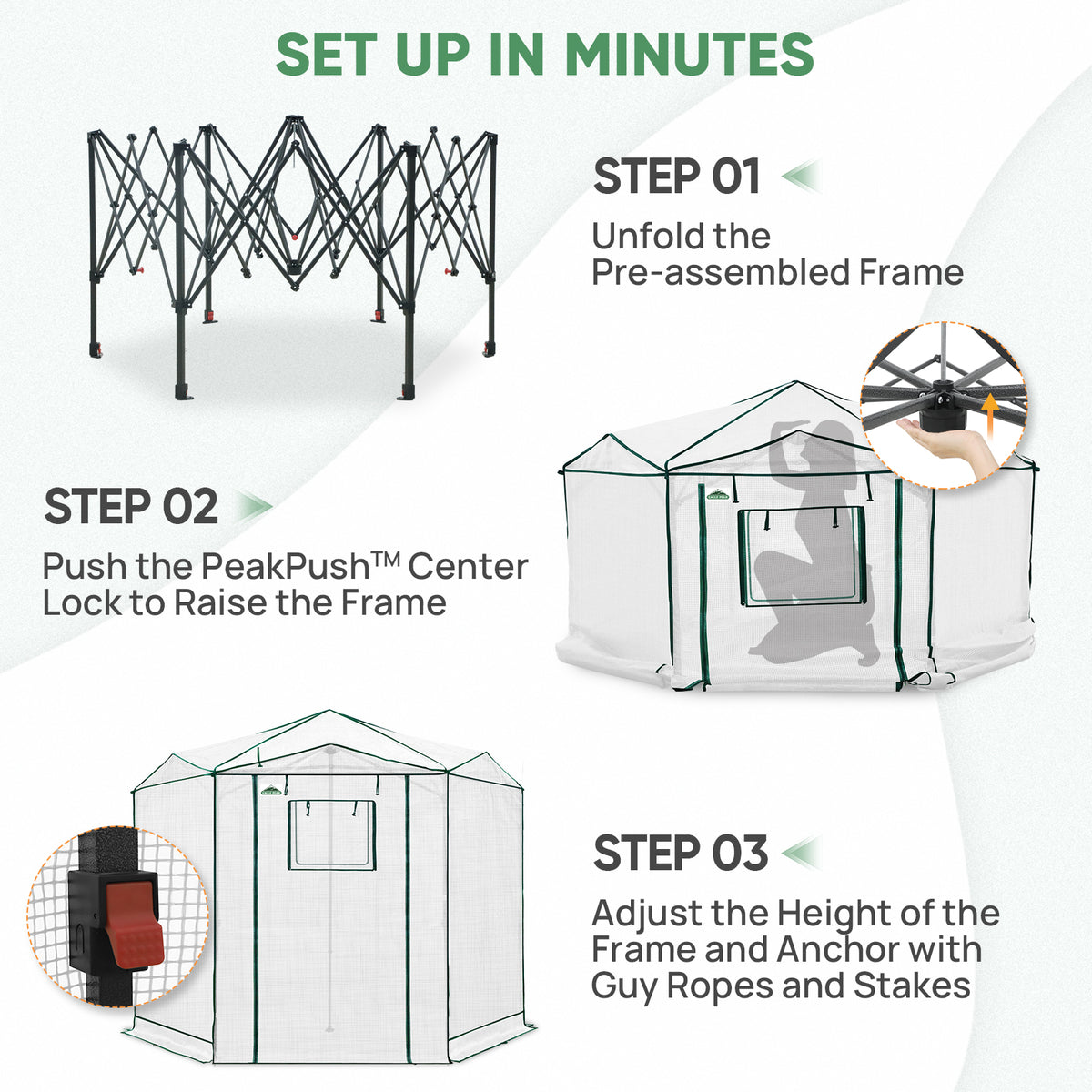 6.6x6.6/8.5x8.5 Easy Setup Pop Up Greenhouse, Hexagon