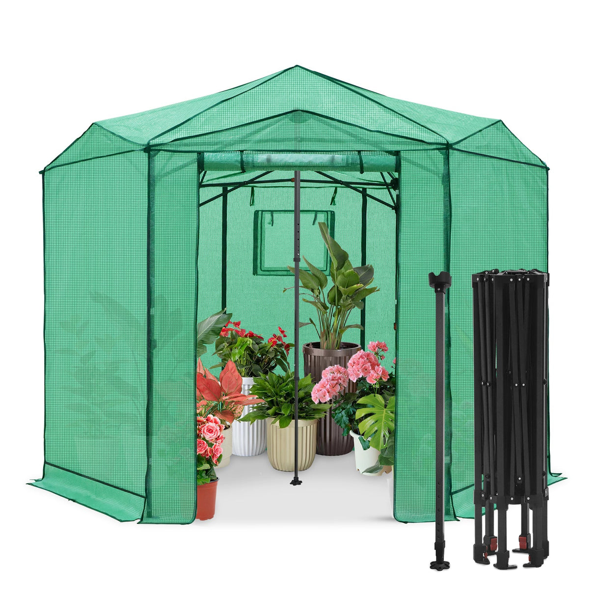 6.6x6.6 ft/ 8.5x8.5 ft Hexagon Pop up Greenhouse - Eagle Peak Custom Canopy Tent