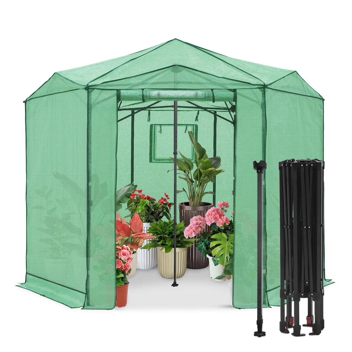 6.6x6.6 ft/ 8.5x8.5 ft Hexagon Pop up Greenhouse - Eagle Peak