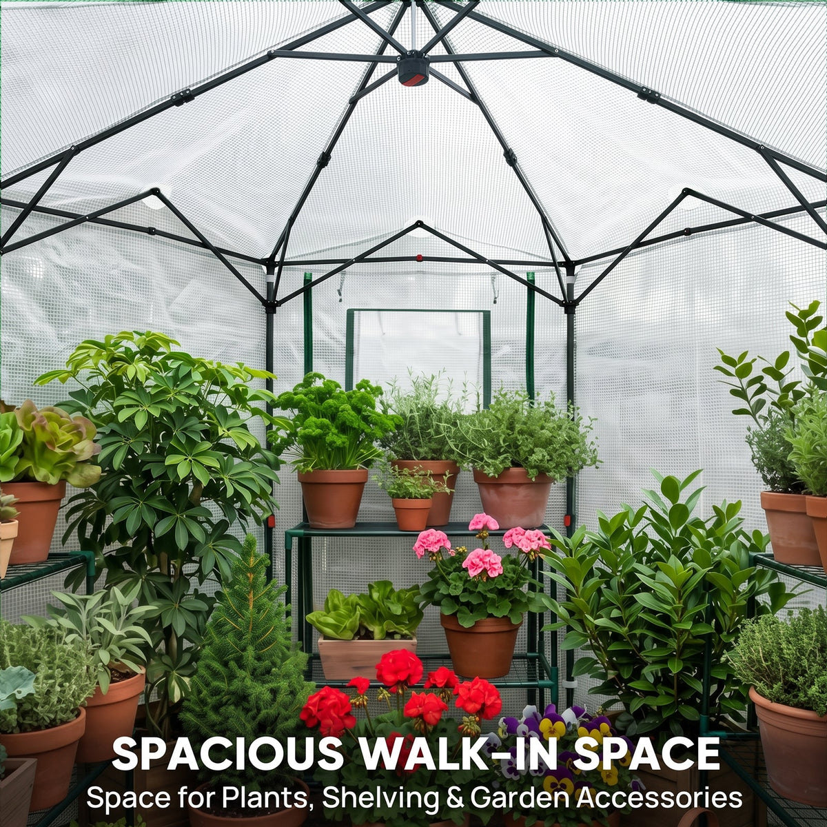 6.6x6.6/8.5x8.5 Easy Setup Pop Up Greenhouse, Hexagon - Eagle Peak®