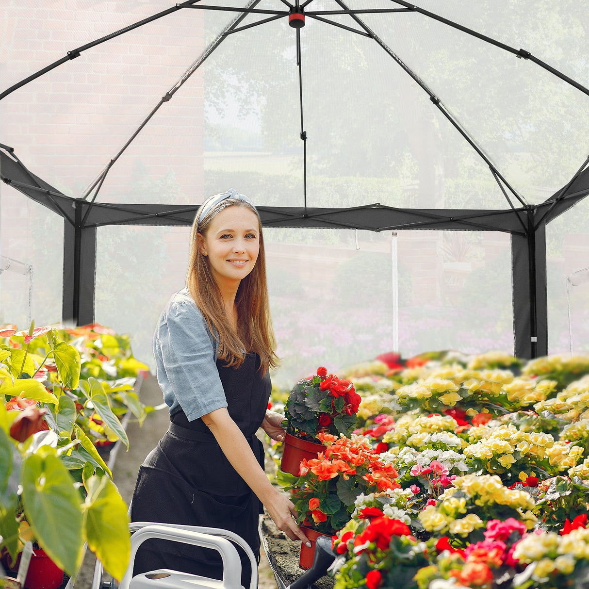 6x4/12x8/10x10 Portable Walk in Greenhouse with Polyester Reinforced Corners, Gray/White, Green/White - Eagle Peak Custom Canopy Tent