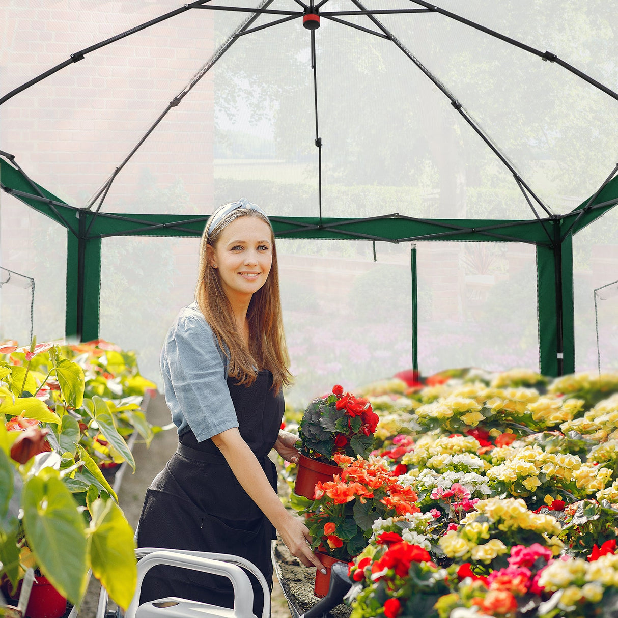 6x4/12x8/10x10 Portable Walk in Greenhouse with Polyester Reinforced Corners, Gray/White, Green/White - Eagle Peak Custom Canopy Tent