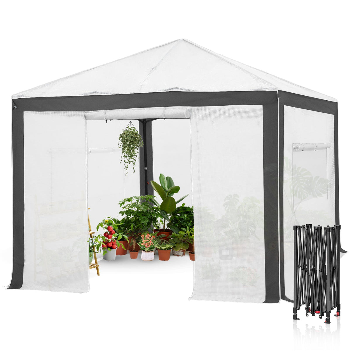 6x4/8x6/10x10 Walk In Pop Up Greenhouse - Eagle Peak®