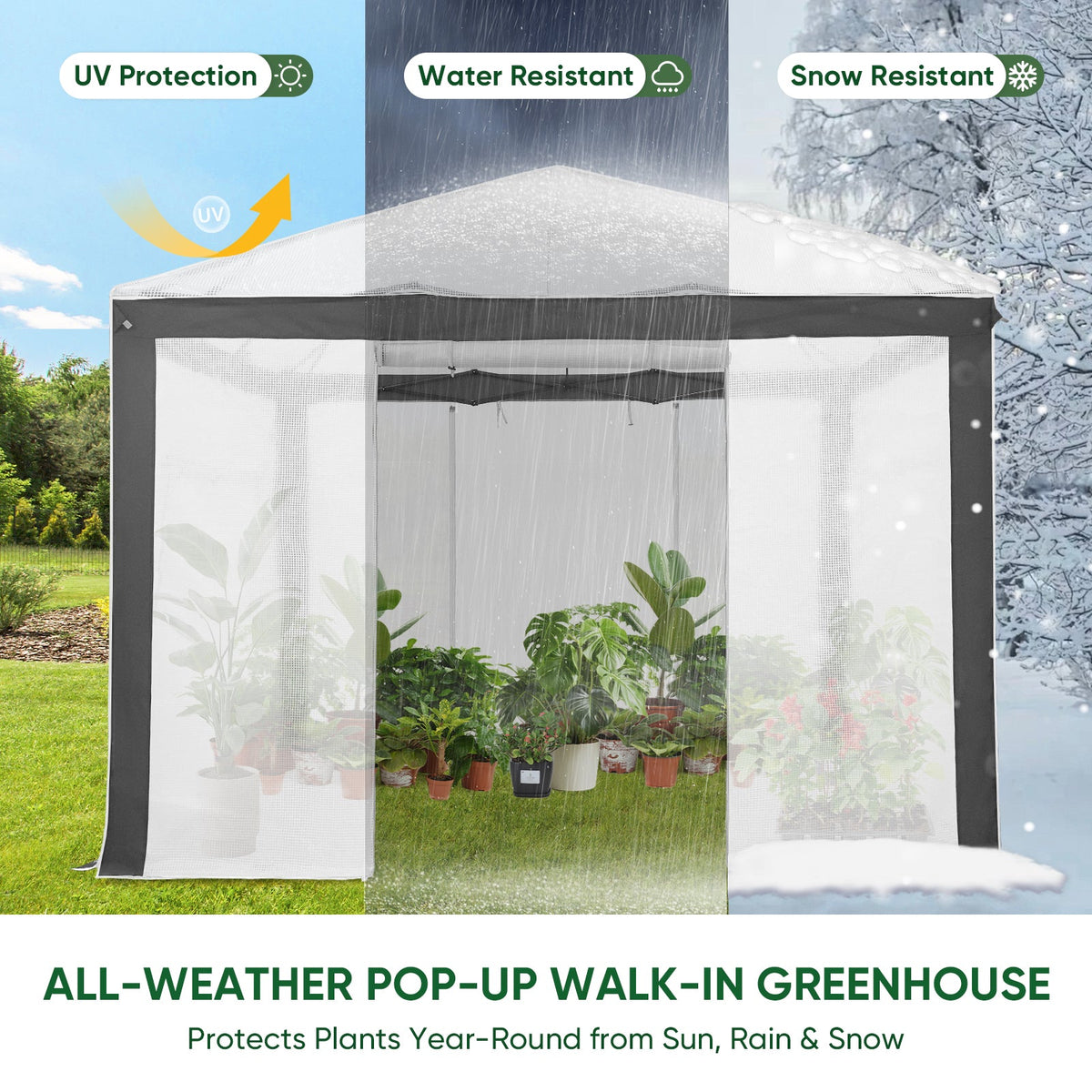 6x4/8x6/10x10 Walk In Pop Up Greenhouse - Eagle Peak®
