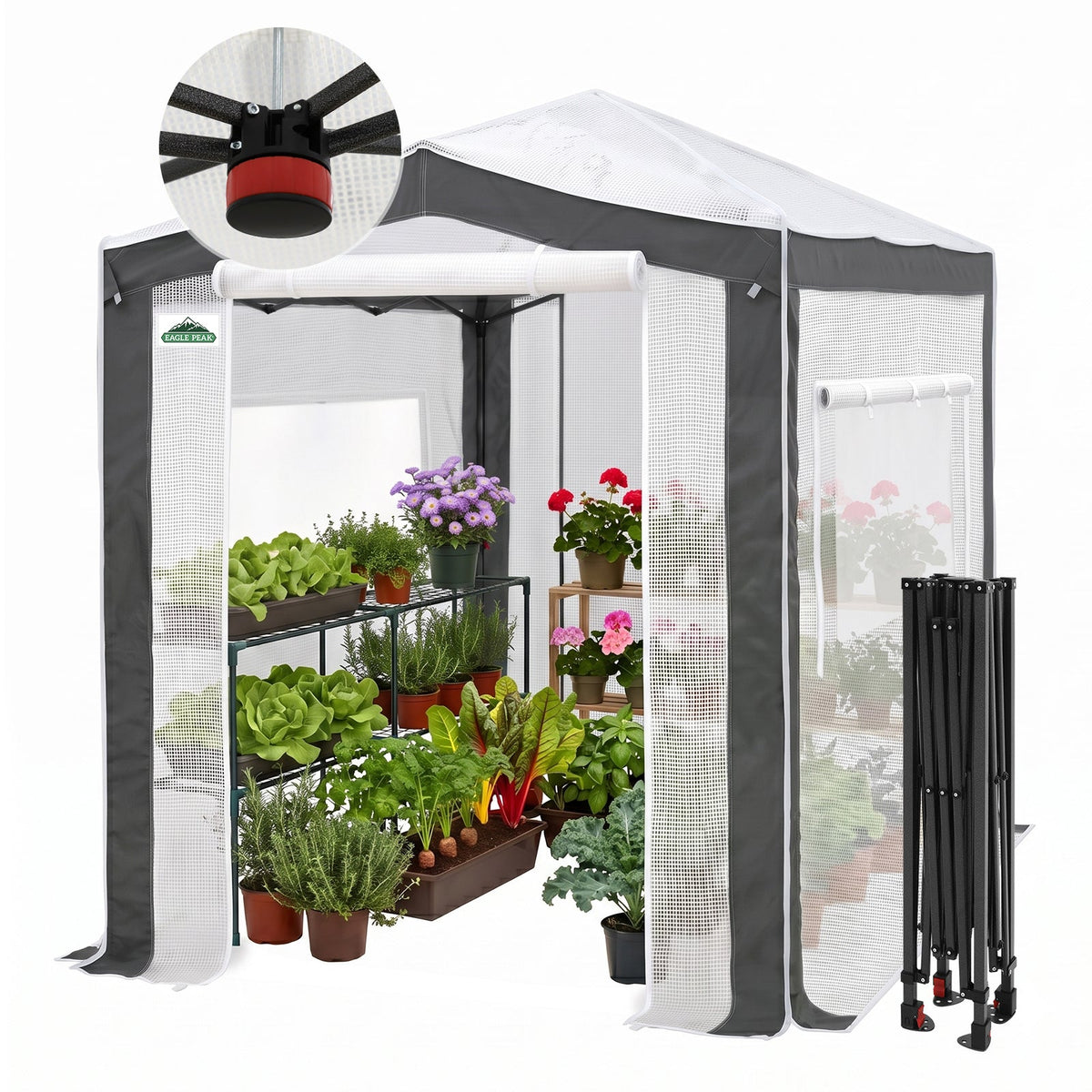 6x4/8x6/10x10 Walk In Pop Up Greenhouse - Eagle Peak®