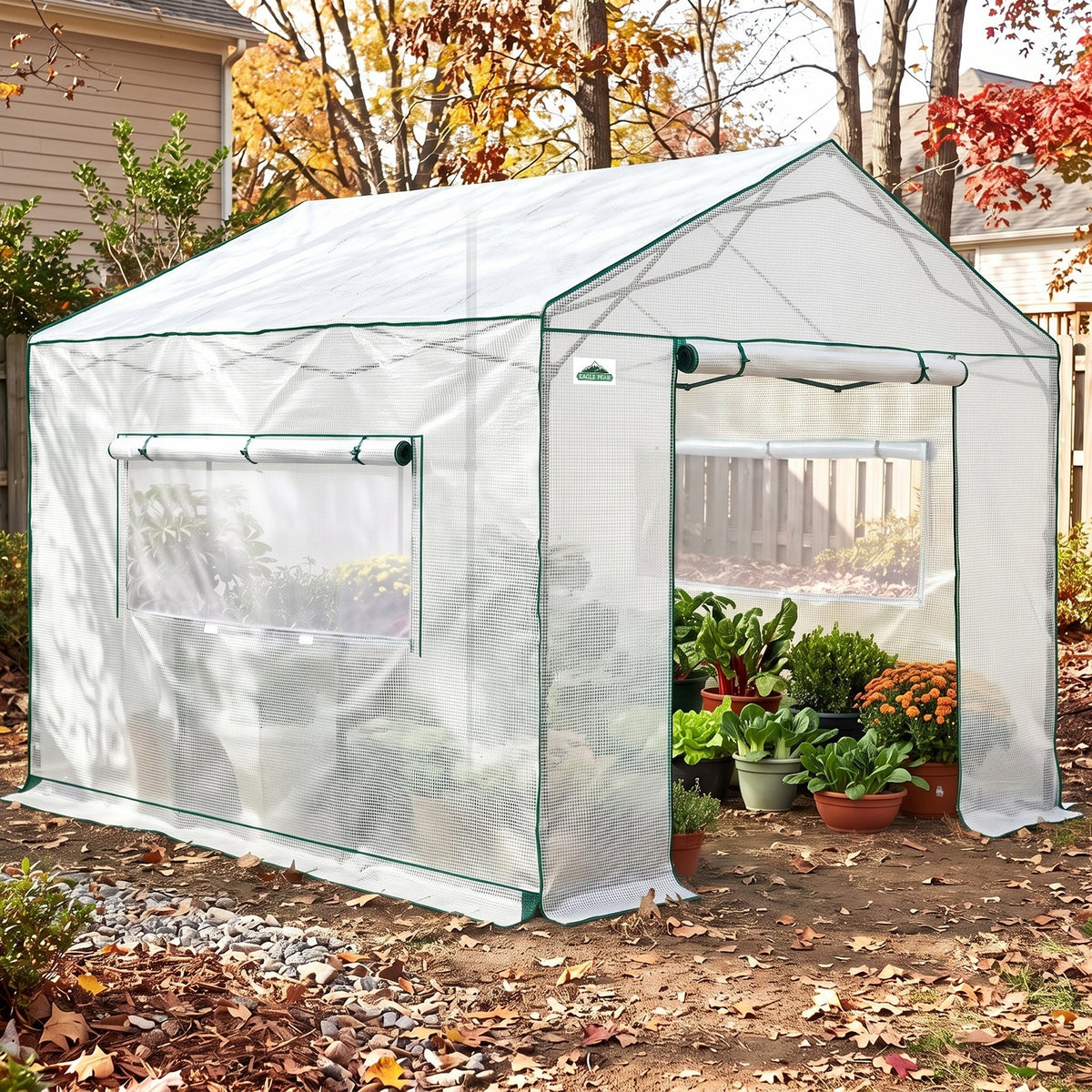 6x6/ 6x8/ 8x8/ 10x10 Pop Up Walk In Greenhouse, Easy Setup, Gable Roof - Eagle Peak®
