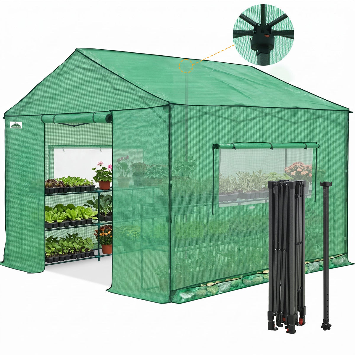 6x6/ 6x8/ 8x8/ 10x10 Pop Up Walk In Greenhouse, Easy Setup, Gable Roof - Eagle Peak®