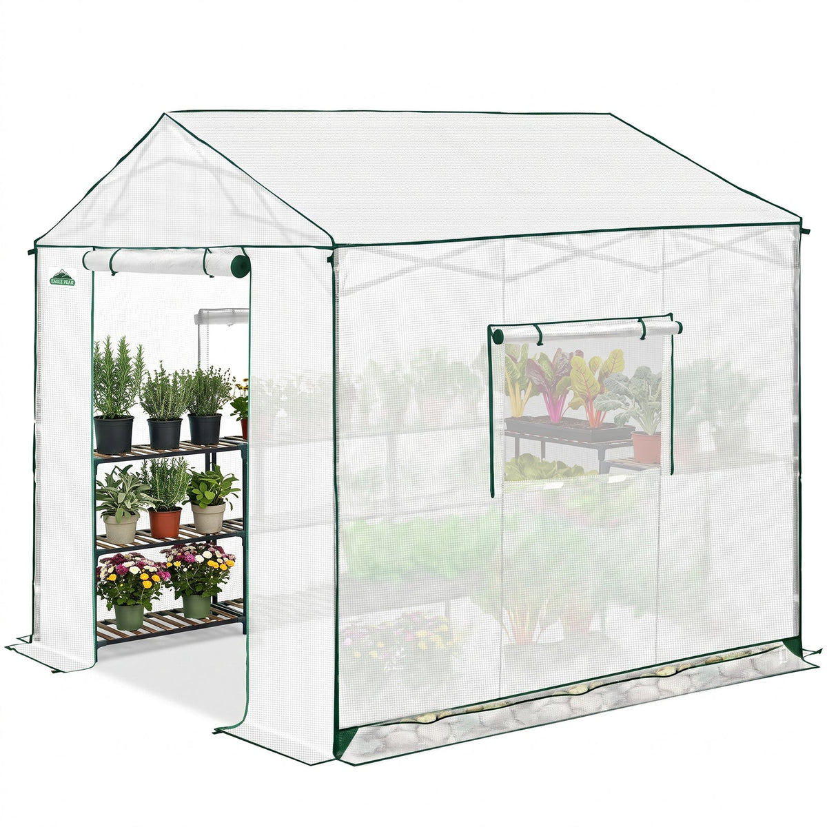 6x6/ 6x8/ 8x8/ 10x10 Pop Up Walk In Greenhouse, Easy Setup, Gable Roof - Eagle Peak®