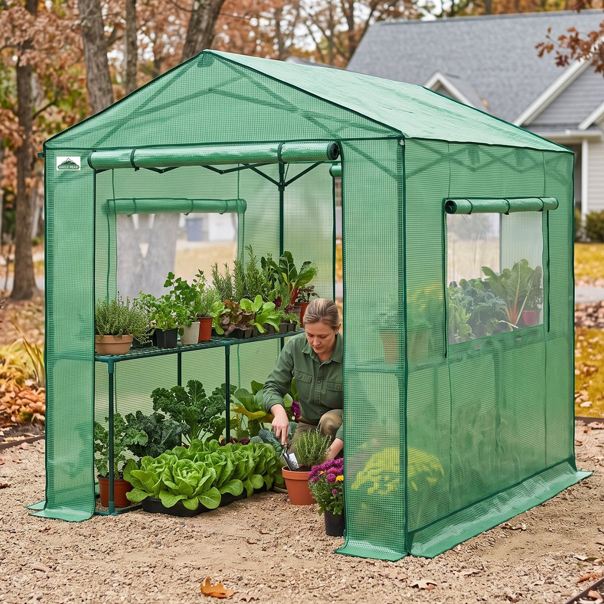 6x6/ 6x8/ 8x8/ 10x10 Pop Up Walk In Greenhouse, Easy Setup, Gable Roof - Eagle Peak®