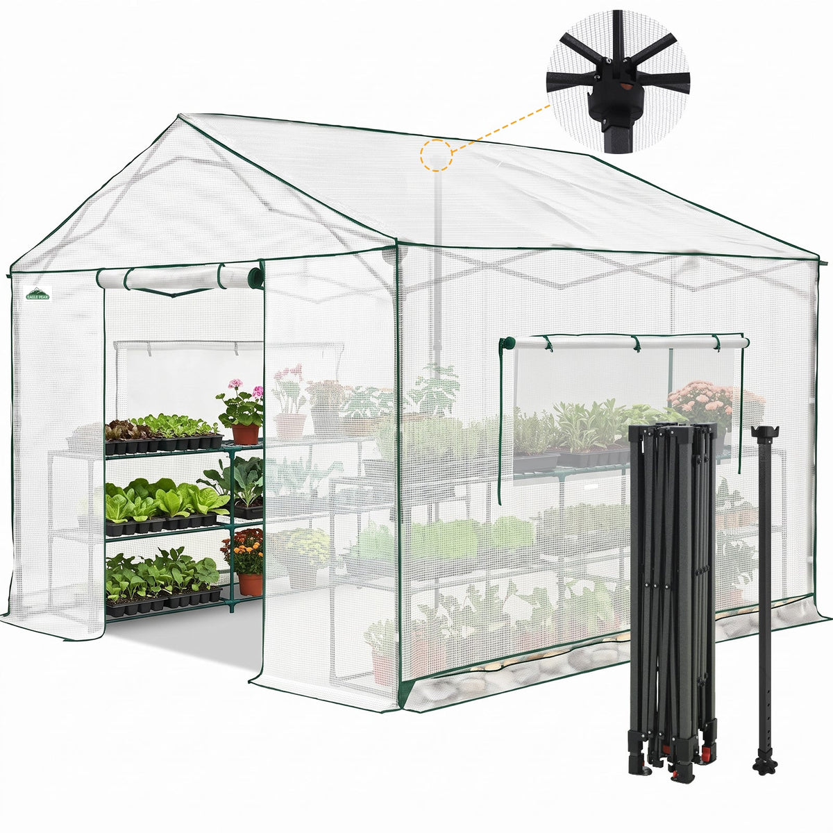 6x6/ 6x8/ 8x8/ 10x10 Pop Up Walk In Greenhouse, Easy Setup, Gable Roof - Eagle Peak®