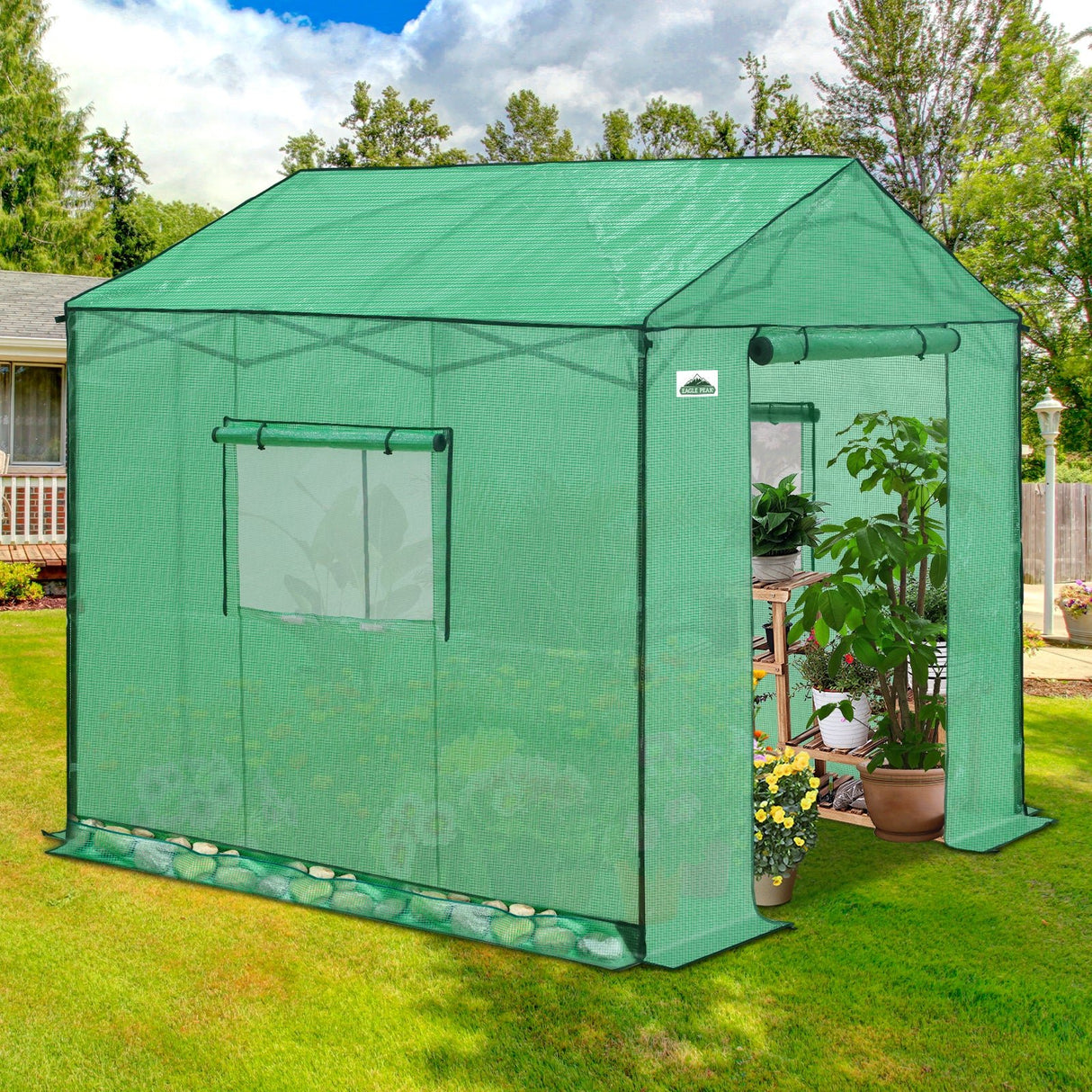 6x6/ 8x8/ 10x10 Portable Pop Up Greenhouse, Patented Center Lock with Gable Roof - Eagle Peak Custom Canopy Tent