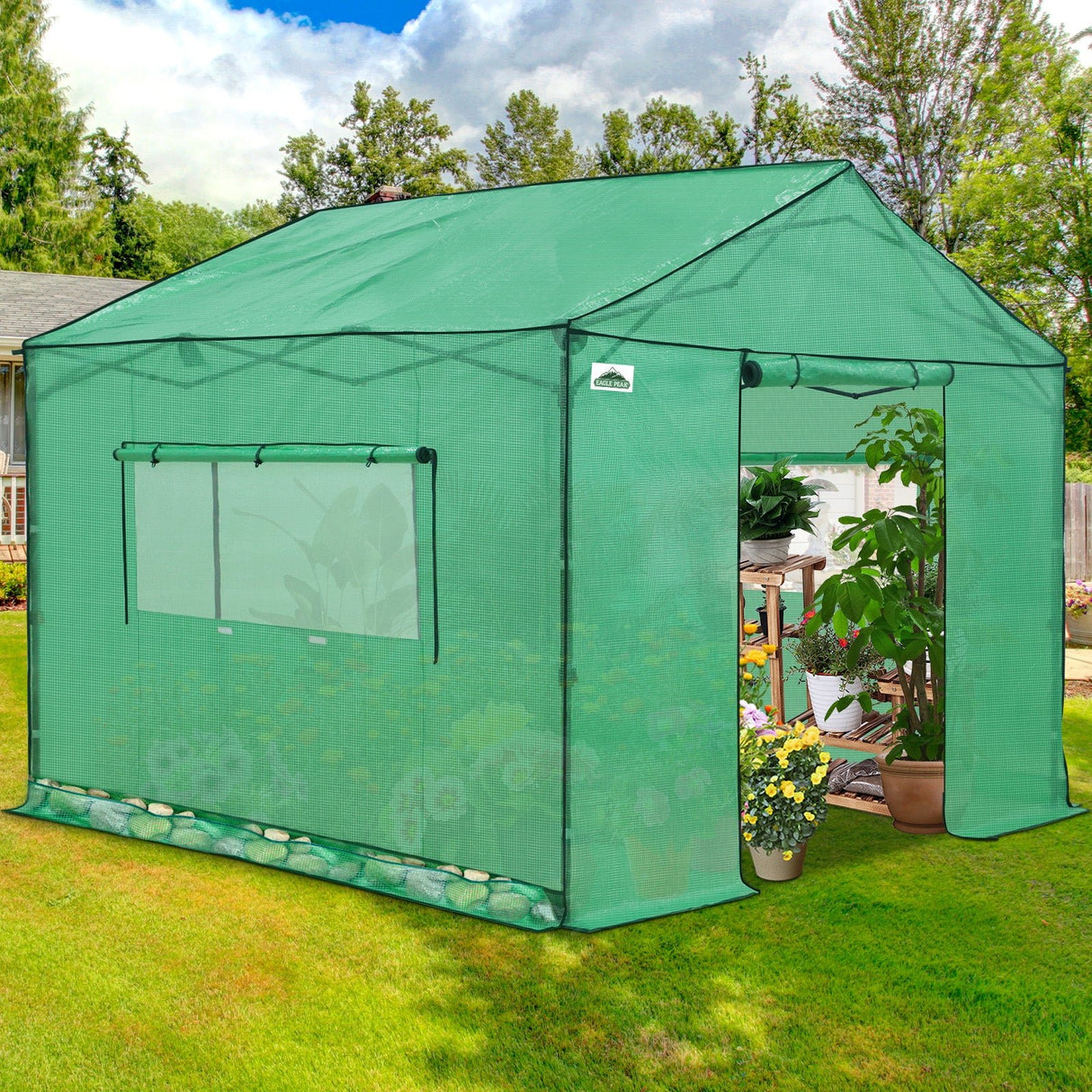 6x6/ 8x8/ 10x10 Portable Pop Up Greenhouse, Patented Center Lock with Gable Roof - Eagle Peak Custom Canopy Tent