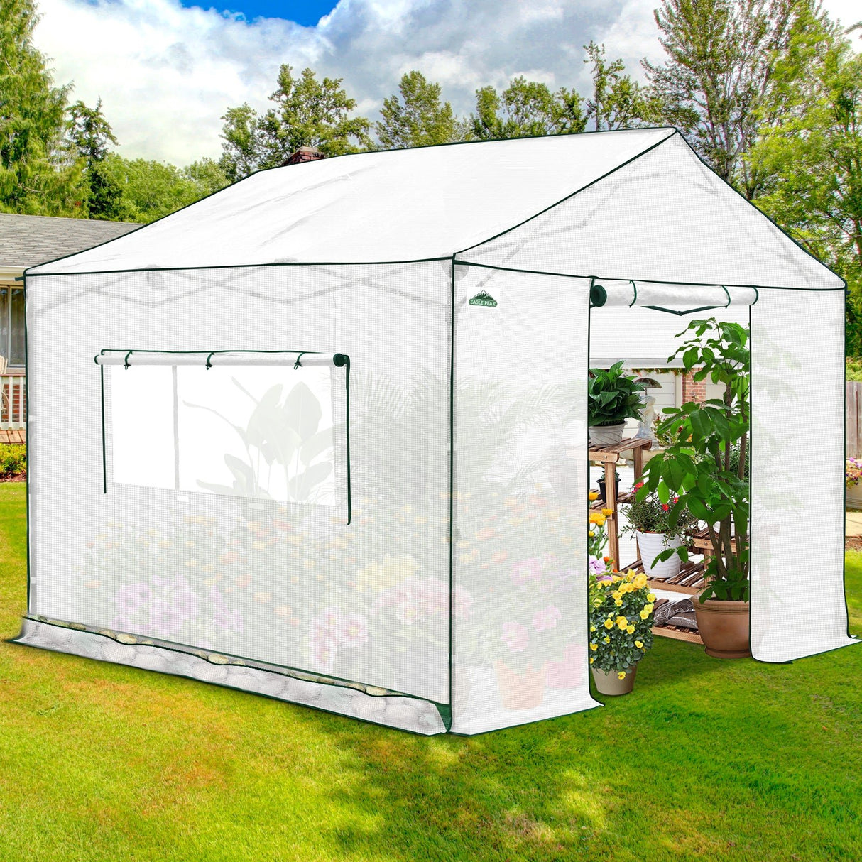6x6/ 8x8/ 10x10 Portable Pop Up Greenhouse, Patented Center Lock with Gable Roof - Eagle Peak®