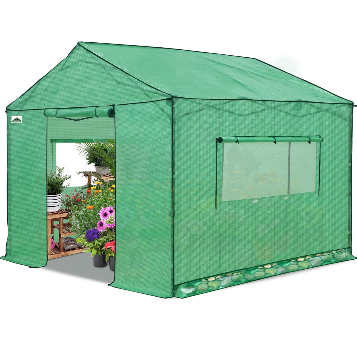 6x6/ 8x8/ 10x10 Portable Pop Up Greenhouse, Patented Center Lock with Gable Roof - Eagle Peak Custom Canopy Tent