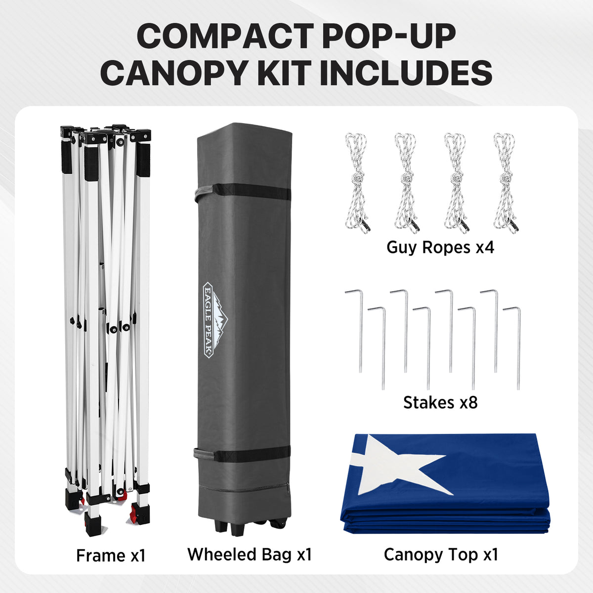6.6x6.6 Pop Up Canopy Tent Easy Up Canopy Outdoor