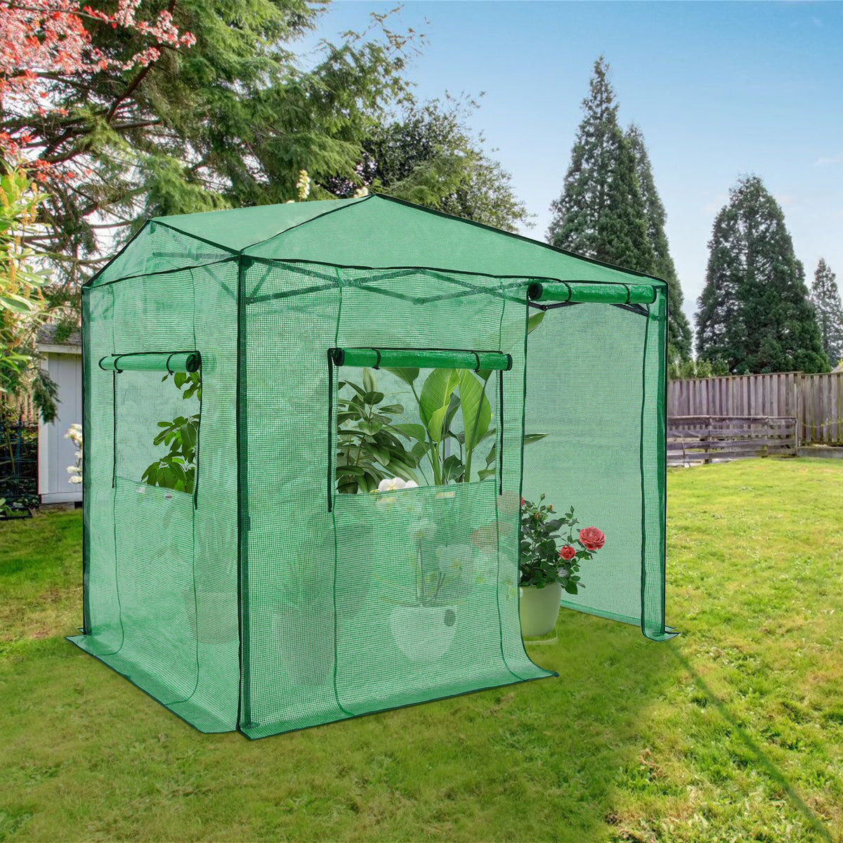 8x6 Easy Setup Pop Up Greenhouse - Eagle Peak®