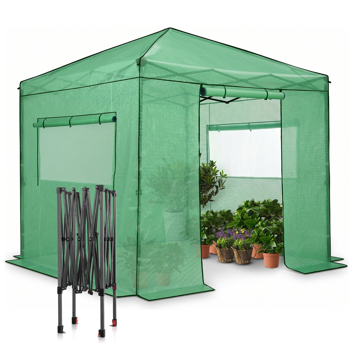 8x8 Easy Setup Pop Up Greenhouse - Eagle Peak®