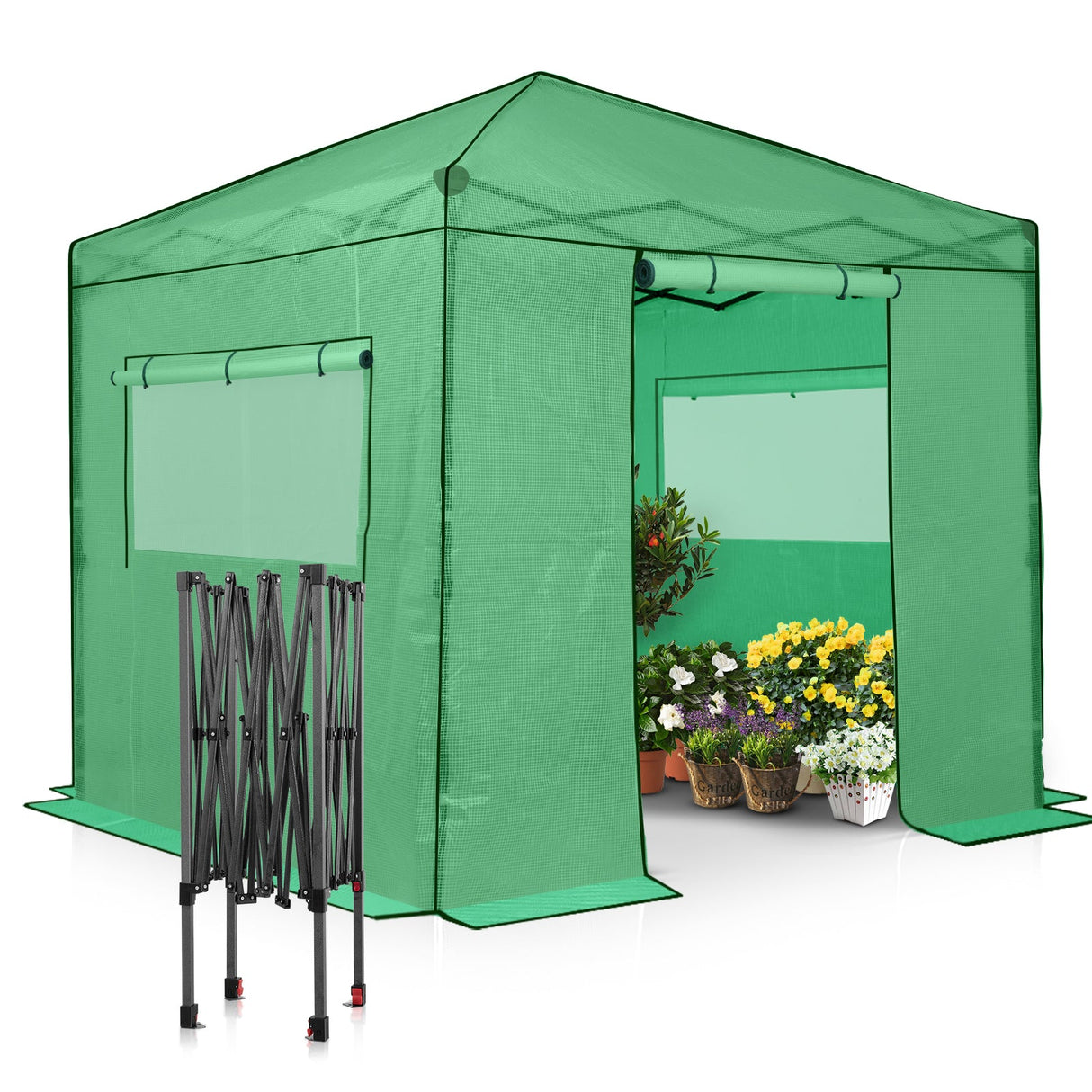 8x8 Portable Walk - in Greenhouse - Eagle Peak