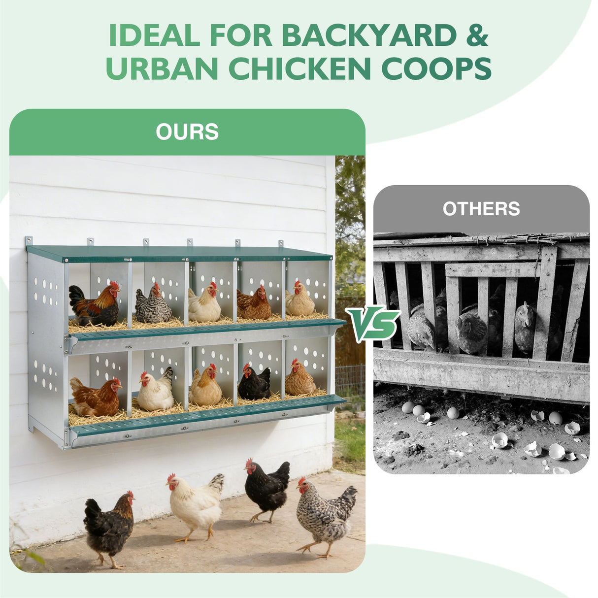 EAGLE PEAK 3/4/6/8/10 - Hole Wall Mounted Chicken Nesting Box (Green) - Eagle Peak Custom Canopy Tent