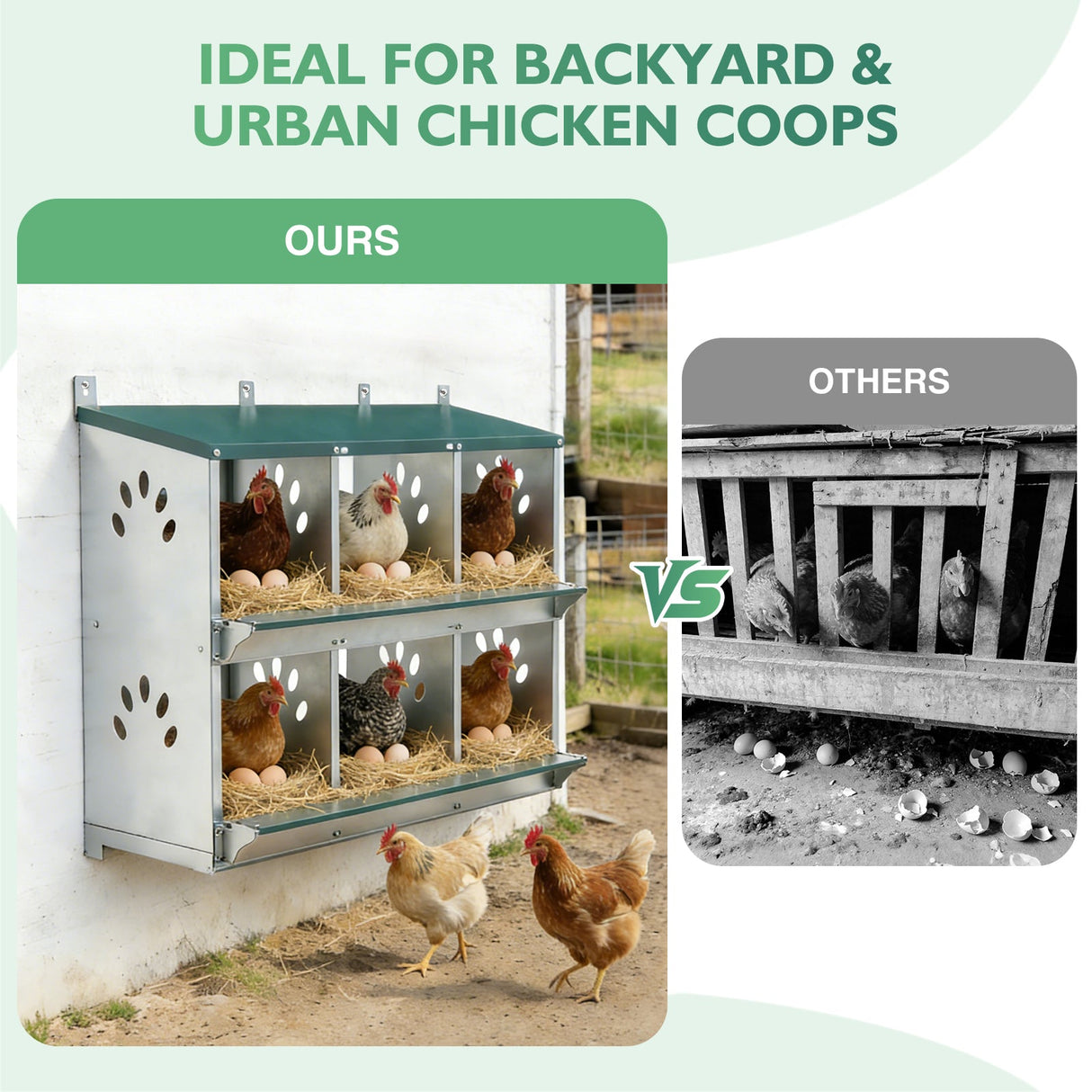 EAGLE PEAK 3/4/6/8/10 - Hole Wall Mounted Chicken Nesting Box (Green) - Eagle Peak Custom Canopy Tent