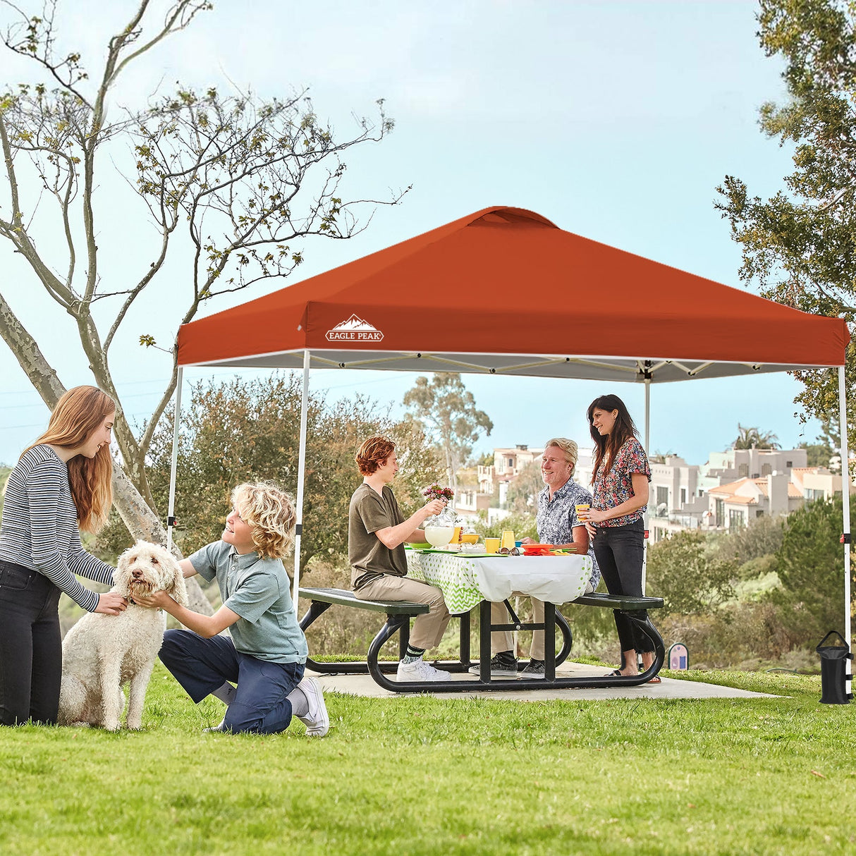 Easy Setup Straight Leg 10x10 Pop Up Canopy Tent w/ 100 sqft of Shade - Eagle Peak Custom Canopy Tent