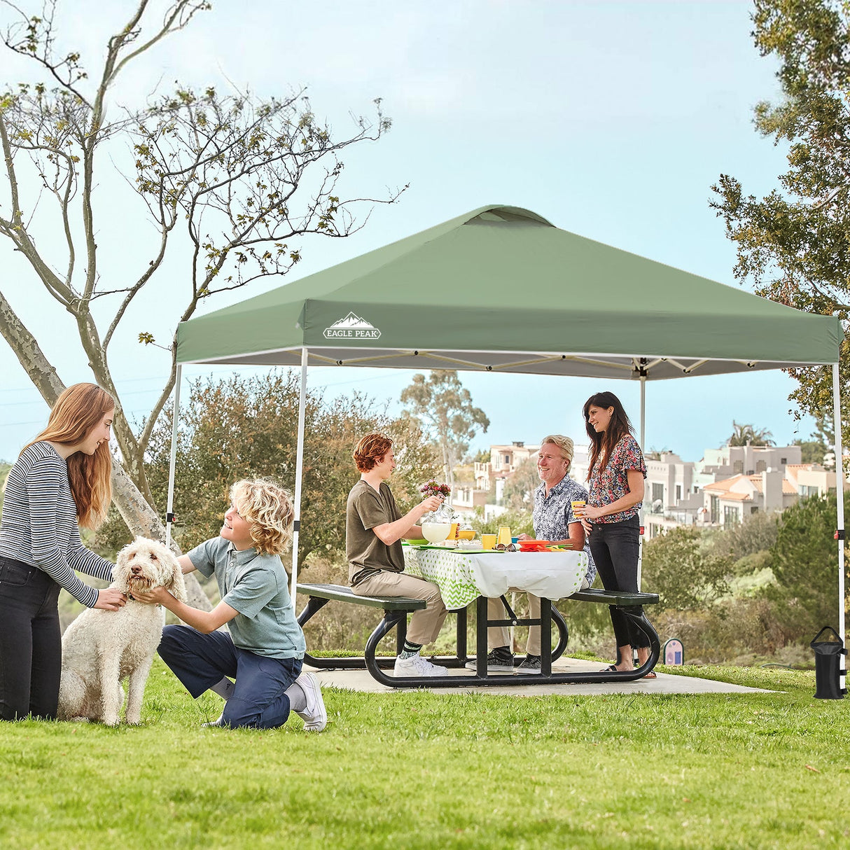 Easy Setup Straight Leg 10x10 Pop Up Canopy Tent w/ 100 sqft of Shade - Eagle Peak Custom Canopy Tent