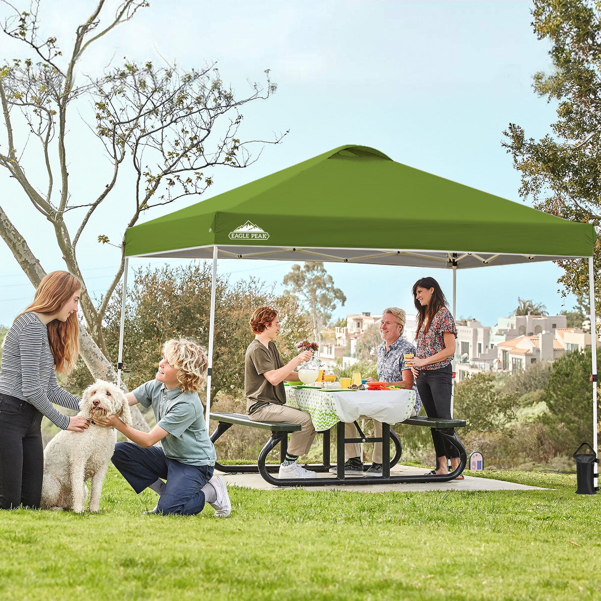 Easy Setup Straight Leg 10x10 Pop Up Canopy Tent w/ 100 sqft of Shade - Eagle Peak Custom Canopy Tent