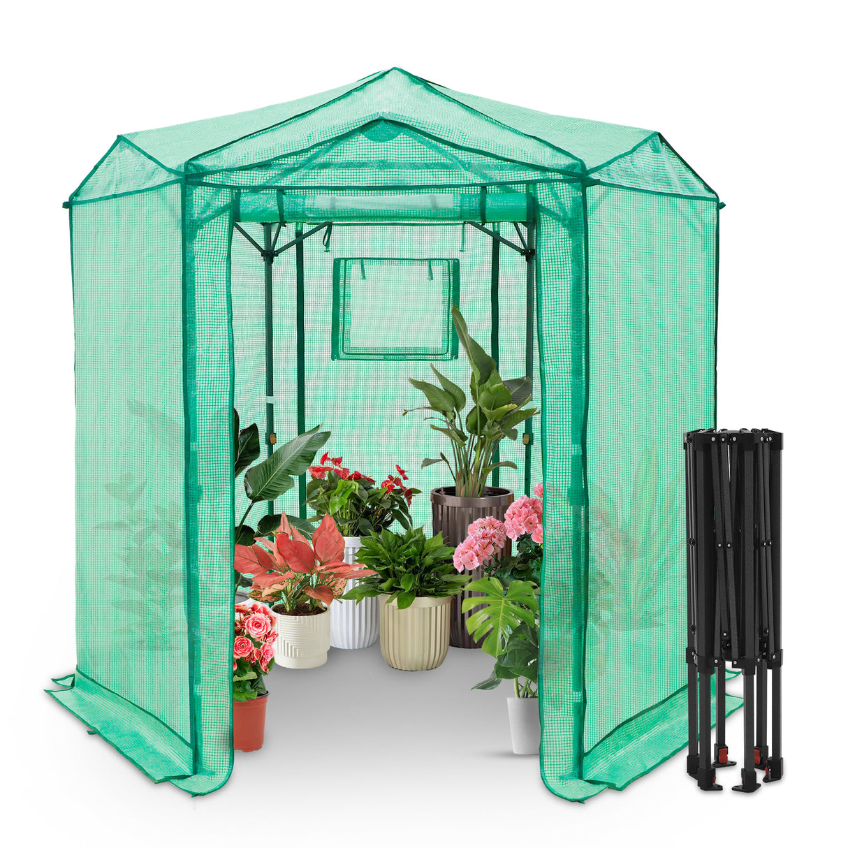 6.6x6.6 ft/ 8.5x8.5 ft Hexagon Pop up Greenhouse