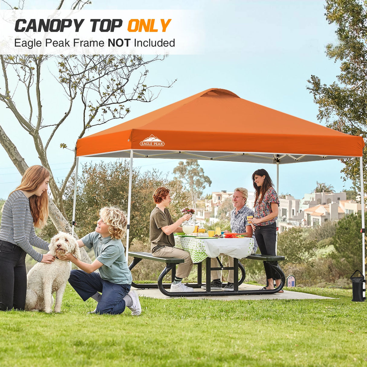 Replacement Canopy Cover with Air Vent for 10x10 Pop Up Canopy Tent, Top Only - Eagle Peak Custom Canopy Tent