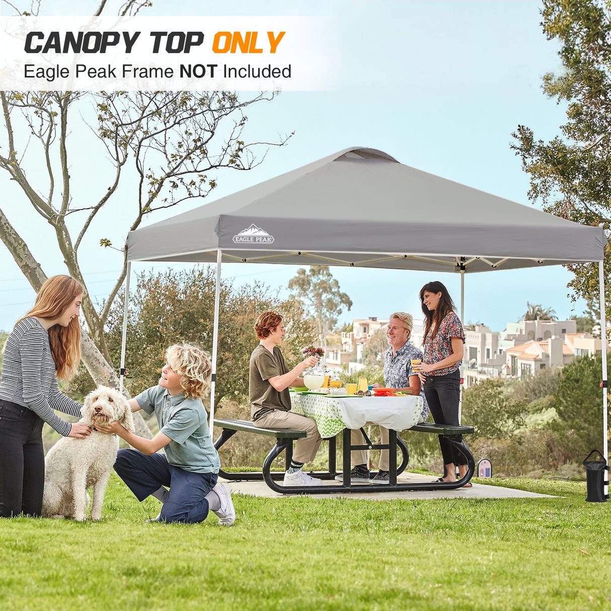 Replacement Canopy Cover with Air Vent for 10x10 Pop Up Canopy Tent, Top Only - Eagle Peak Custom Canopy Tent
