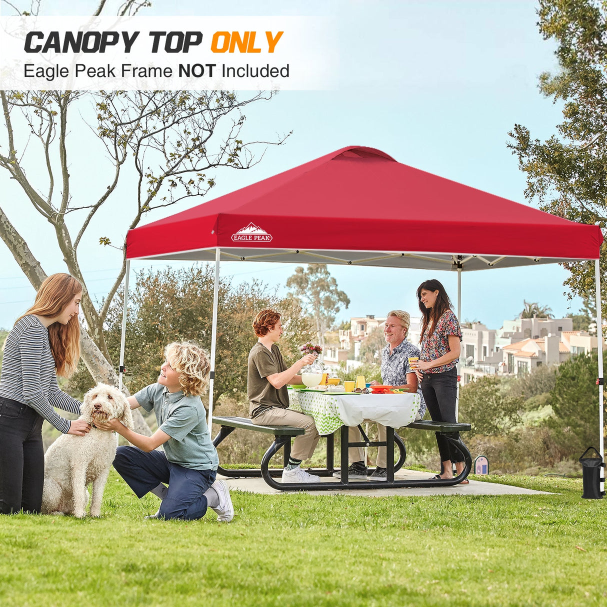 Replacement Canopy Cover with Air Vent for 10x10 Pop Up Canopy Tent, Top Only - Eagle Peak Custom Canopy Tent