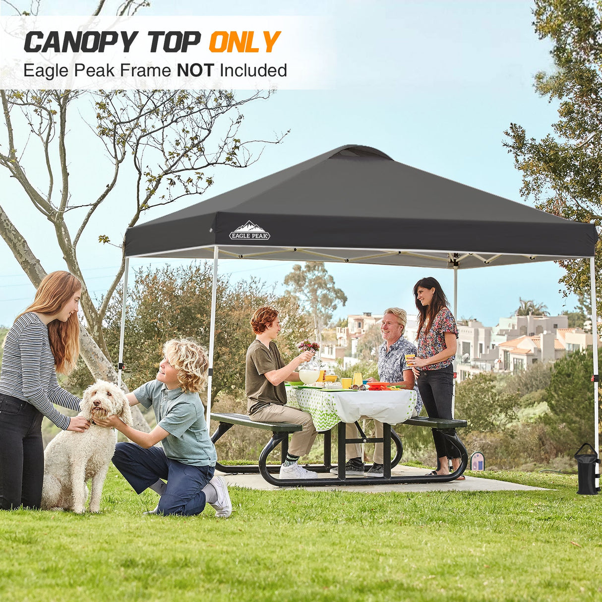 Replacement Canopy Cover with Air Vent for 10x10 Pop Up Canopy Tent, Top Only - Eagle Peak Custom Canopy Tent