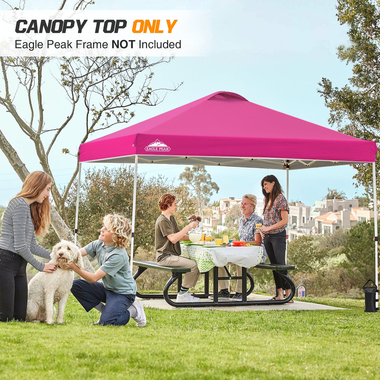 Replacement Canopy Cover with Air Vent for 10x10 Pop Up Canopy Tent, Top Only - Eagle Peak Custom Canopy Tent