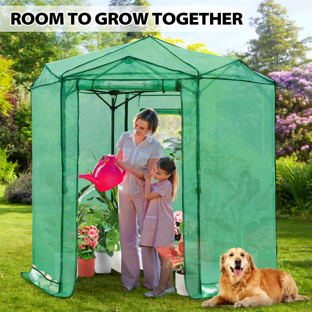 6.6x6.6 ft Hexagon Pop up Greenhouse