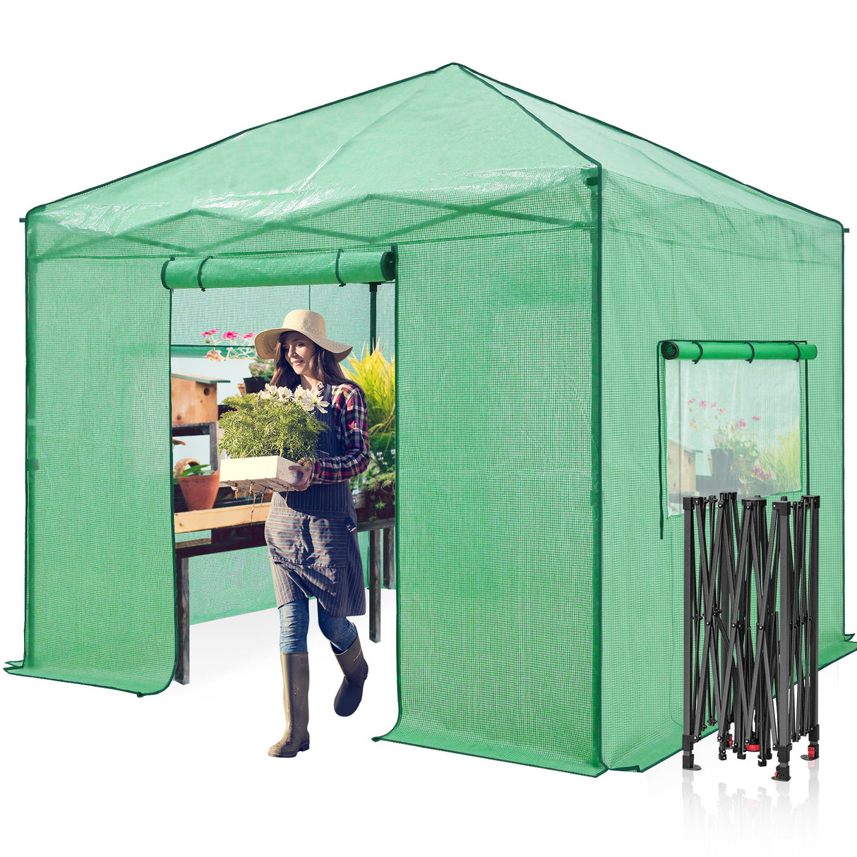 10x10 Walk In Pop Up Greenhouse