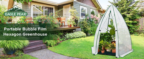 Advantages of PE Bubble Film for Greenhouses in 2026 - Eagle Peak Custom Canopy Tent