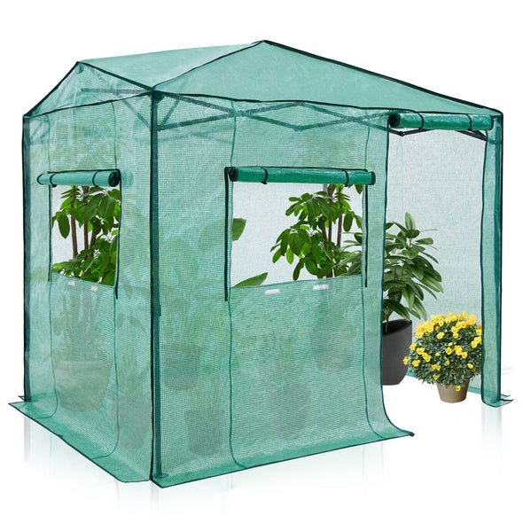 8' x 6' Pop Up Greenhouse with One Door_GHNW48