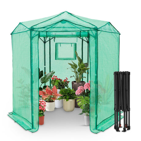 6.6x6.6 ft Hexagon Pop up Greenhouse_GH43HX - Eagle Peak Custom Canopy Tent