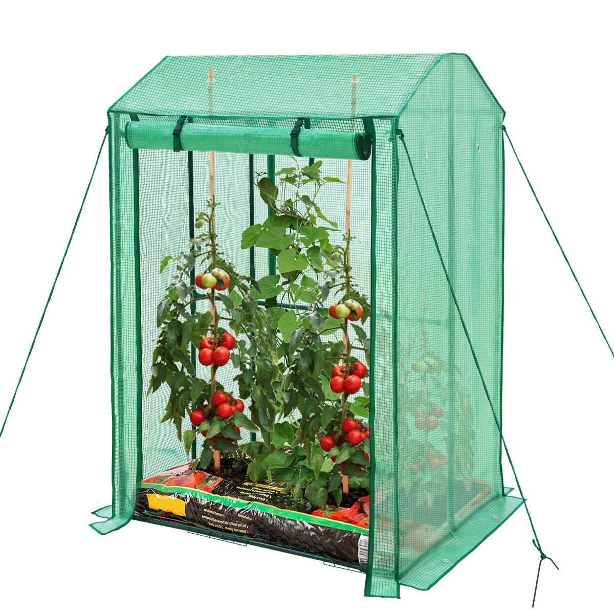 Tomato Greenhouse 39'' x 32'' x 59'' Double Doors_GHTOD08 - Eagle Peak Canopy and Outdoor Products