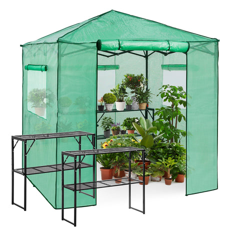 EAGLE PEAK 7' x 7' Pop-up Greenhouse with Shelves _ GH49SF