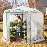 6.6x6.6/8.5x8.5 Easy Setup Pop Up Greenhouse, Hexagon